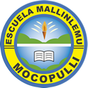 Escuela Mallinlemu