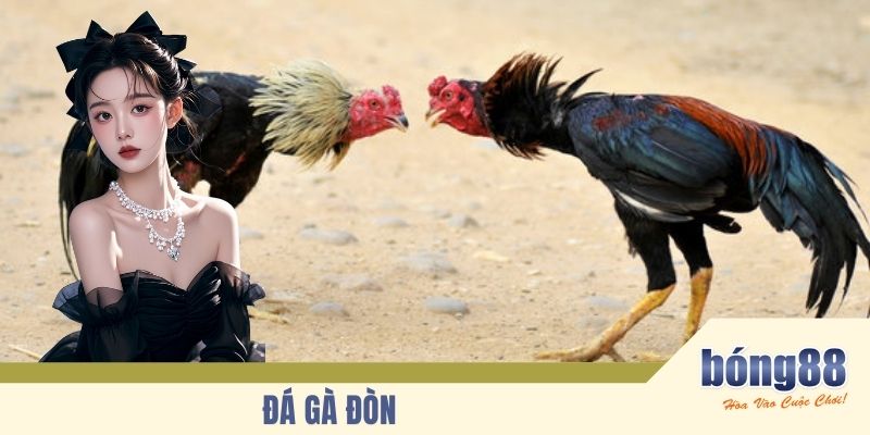 Đá Gà Đòn