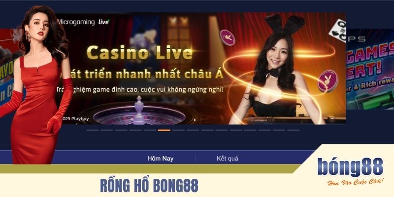 Rồng hổ BONG88
